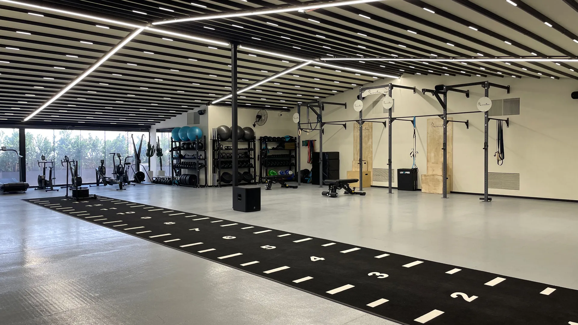 gym